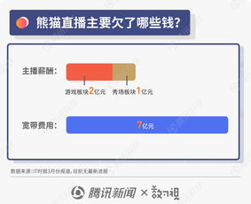 圖解王思聰商業(yè)風(fēng)波 從“國民老公”到“限消令”漩渦，熊貓直播債務(wù)迷局待解